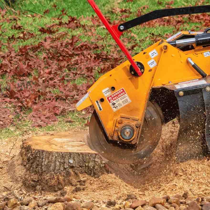 Stump-grinding-in-ohio