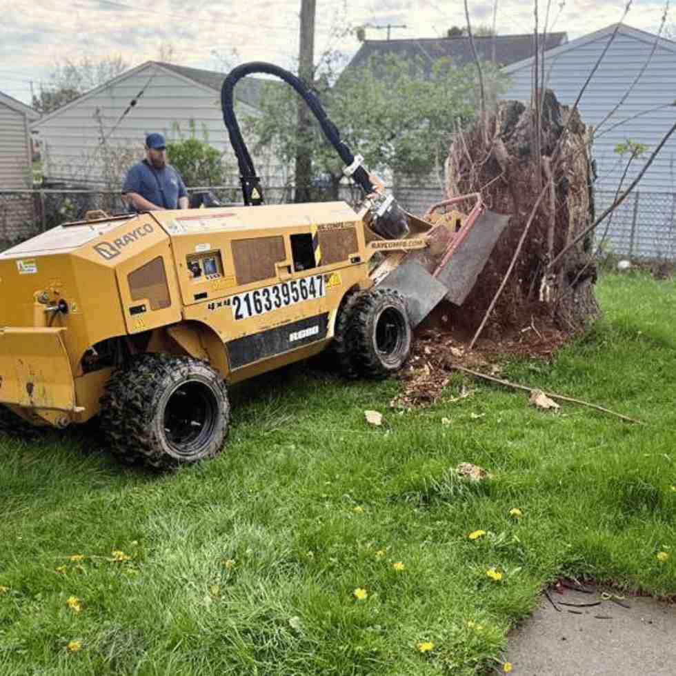 Stump-grinding-in-ohio