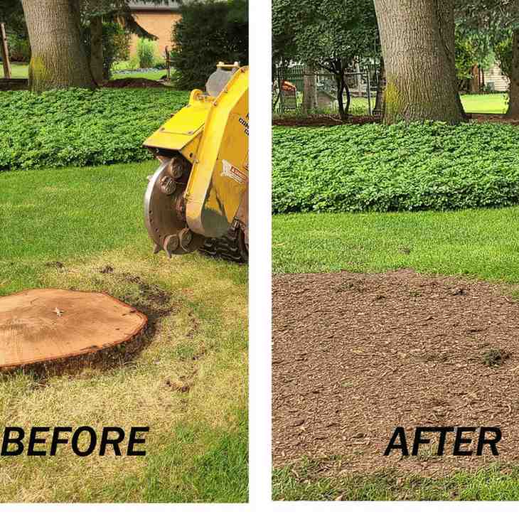 Stump-grinding-in-ohio