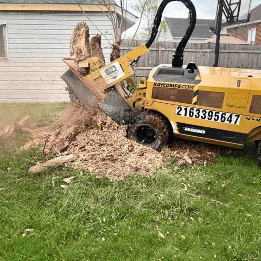 Stump-grinding-in-ohio