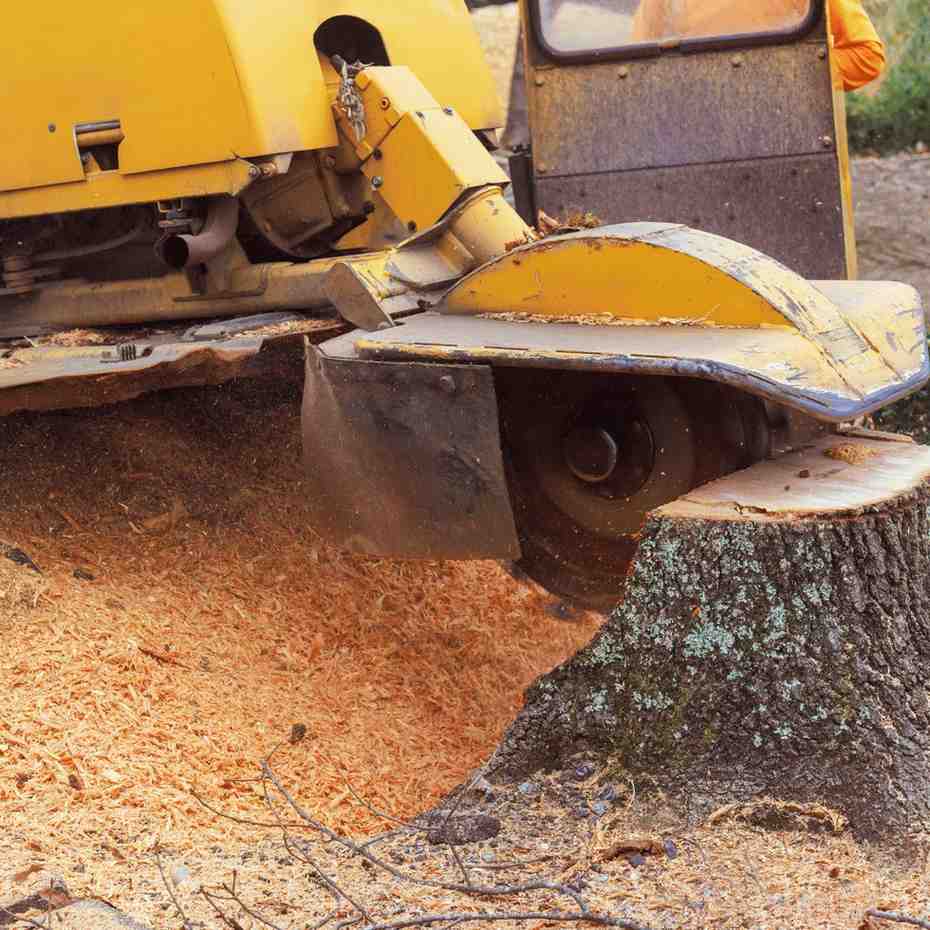 Stump-grinding-in-ohio