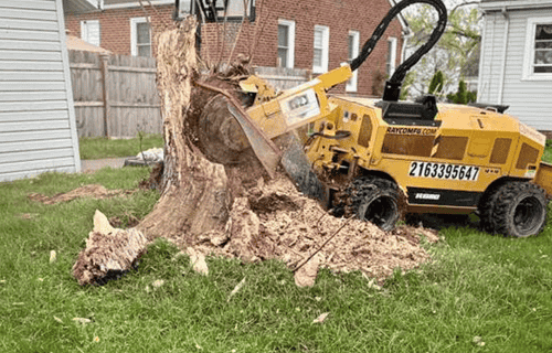 Stump-Grinding in ohio