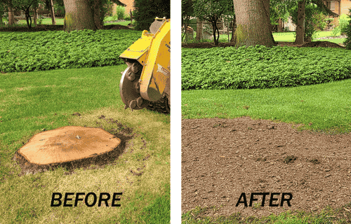 Stump-Grinding in ohio