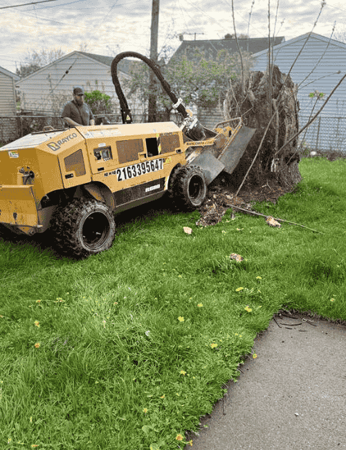 Stump-Grinding in ohio