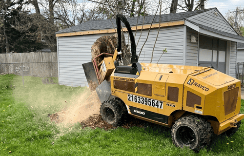 Stump-Removal ohio