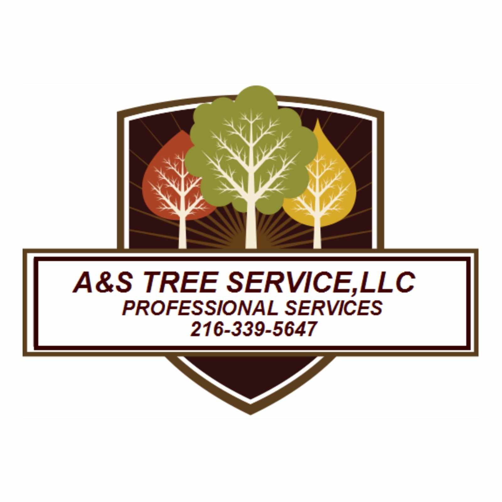 tree removal in ohio
