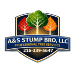 Stump-grinding-in-ohio
